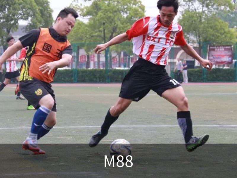 了解M88